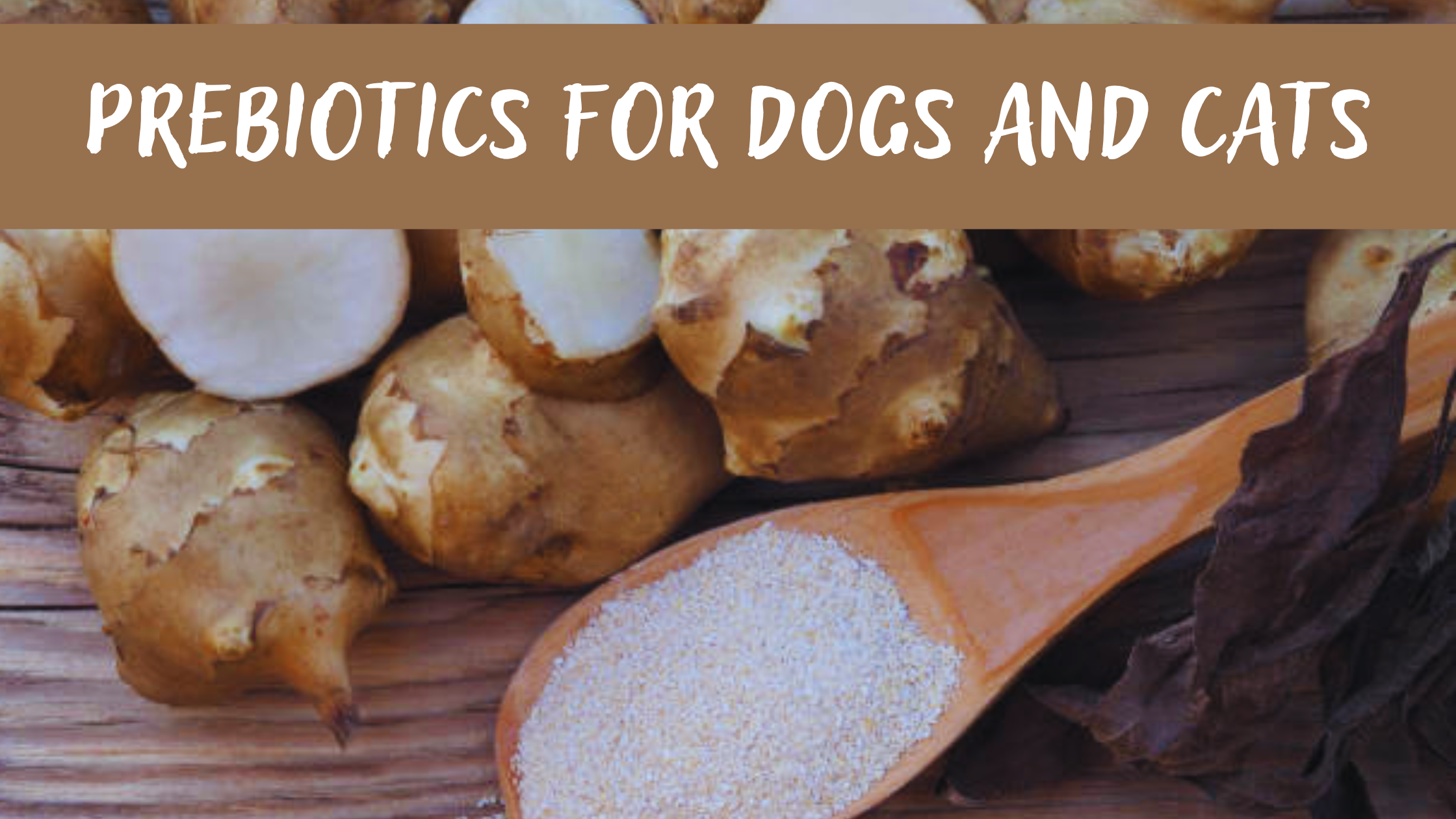 Prebiotics for dogs and cats.