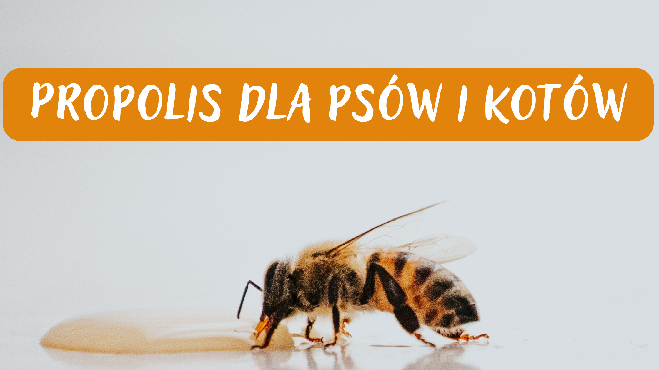 Propolis